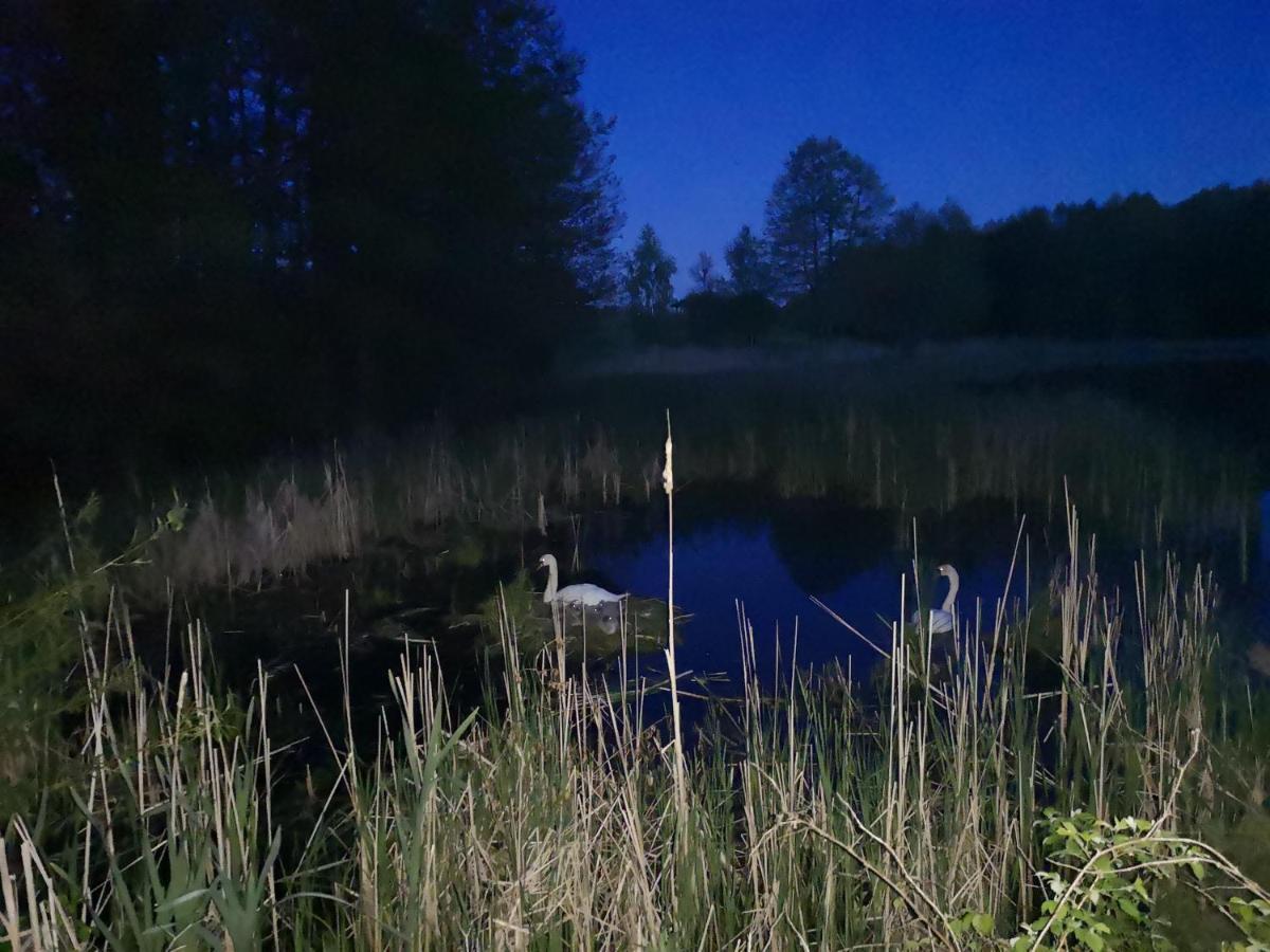 Mazurski Staw Gołdap Eksteriør billede